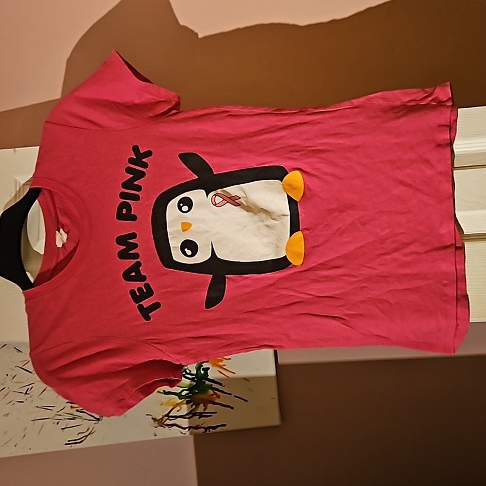 Small Rue 21 Short Sleeve Pink  Awareness Shirt